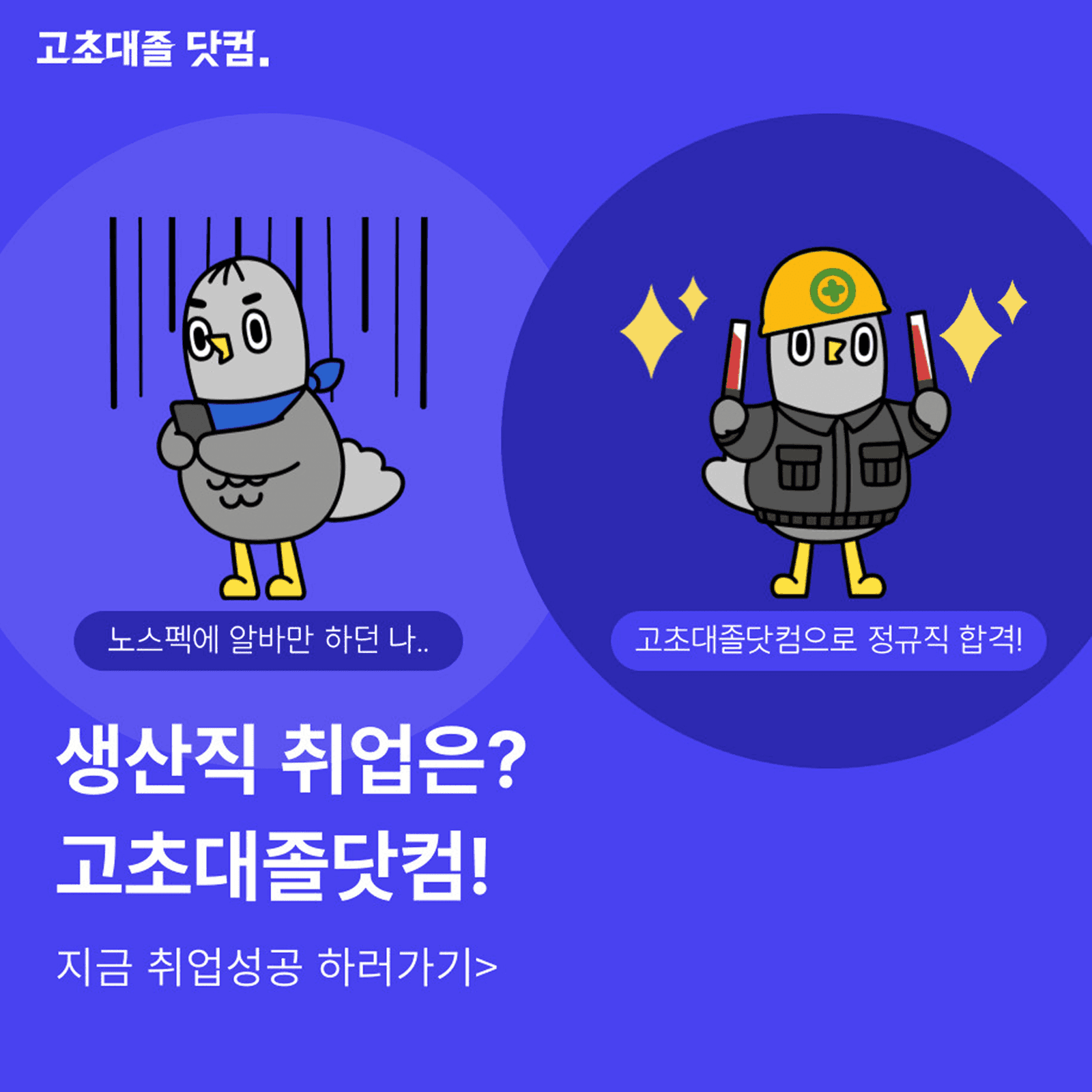 고초대졸닷컴 (HR 플랫폼/12개월)