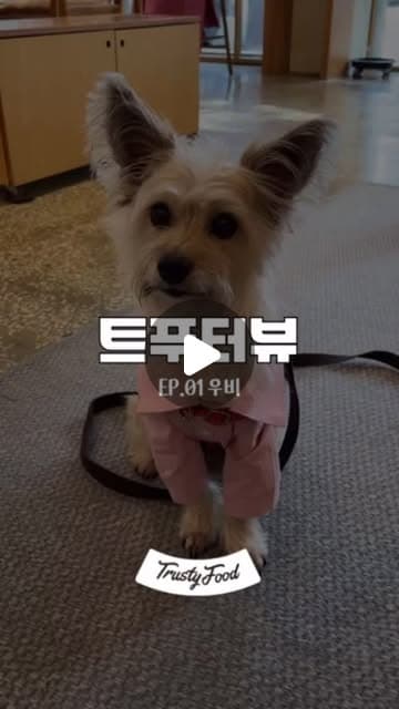 트푸터뷰 Ep.01 — 보호자 인터뷰 시리즈
